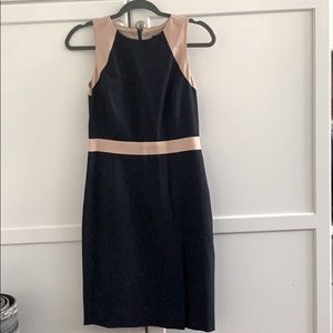 🦋 Wool Crepe JCREW sheath dress